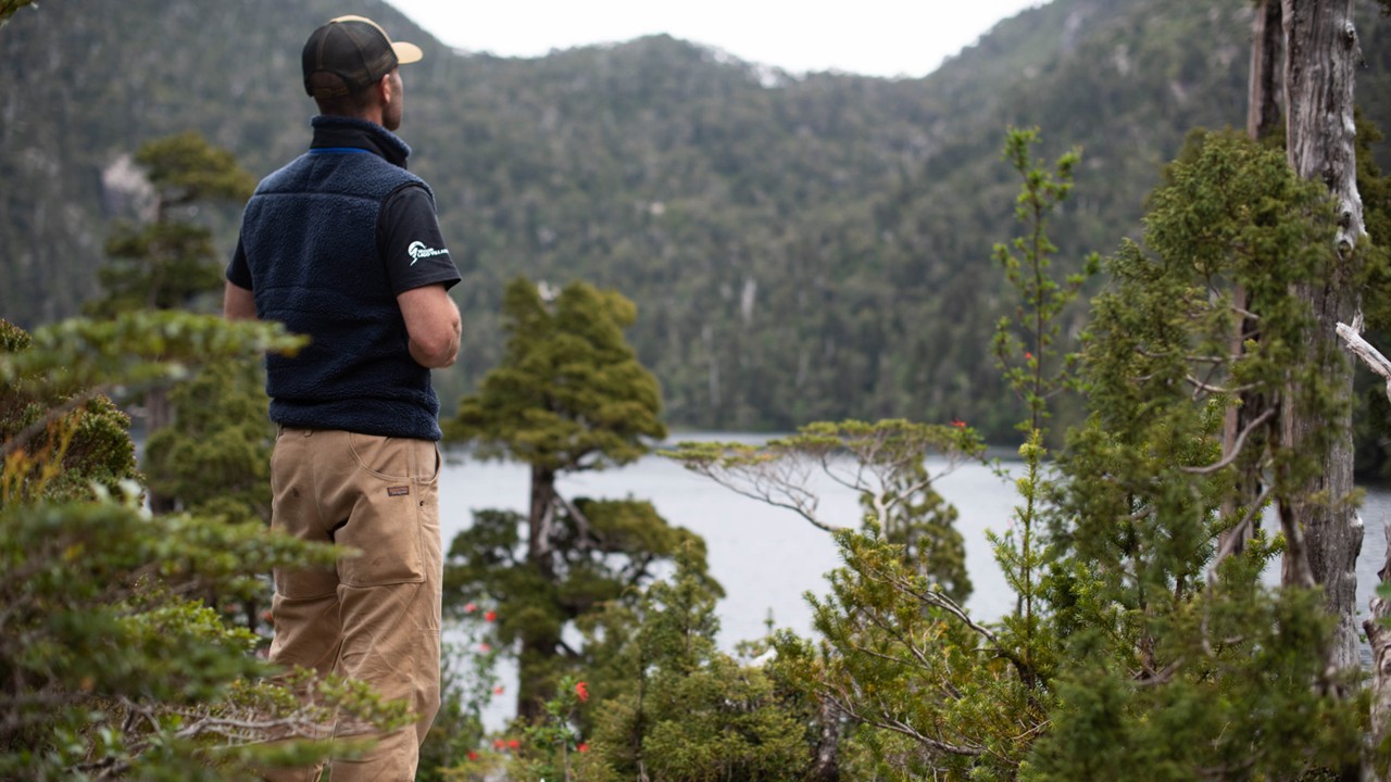 Vision for the future